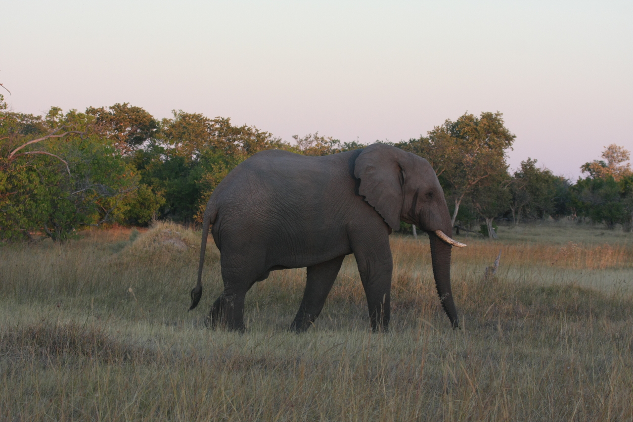 [20161] 2016_06_28_11_53_09_Africa_Canon_EOS_40D_IMG__10601.jpg