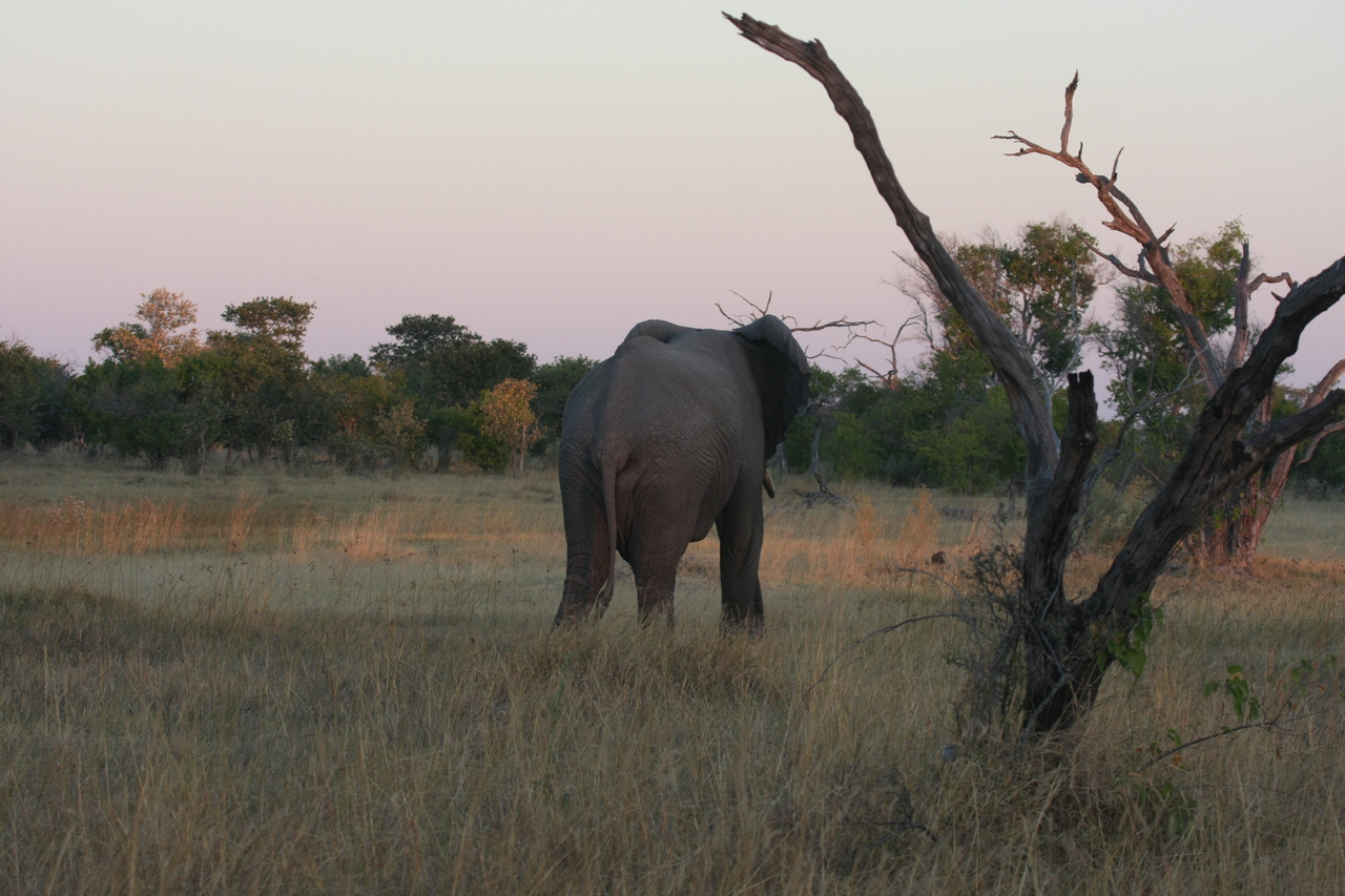 [20163] 2016_06_28_11_53_22_Africa_Canon_EOS_40D_IMG__00770.jpg