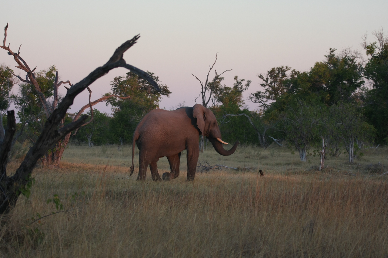 [20169] 2016_06_28_11_53_44_Africa_Canon_EOS_40D_IMG__00772.jpg