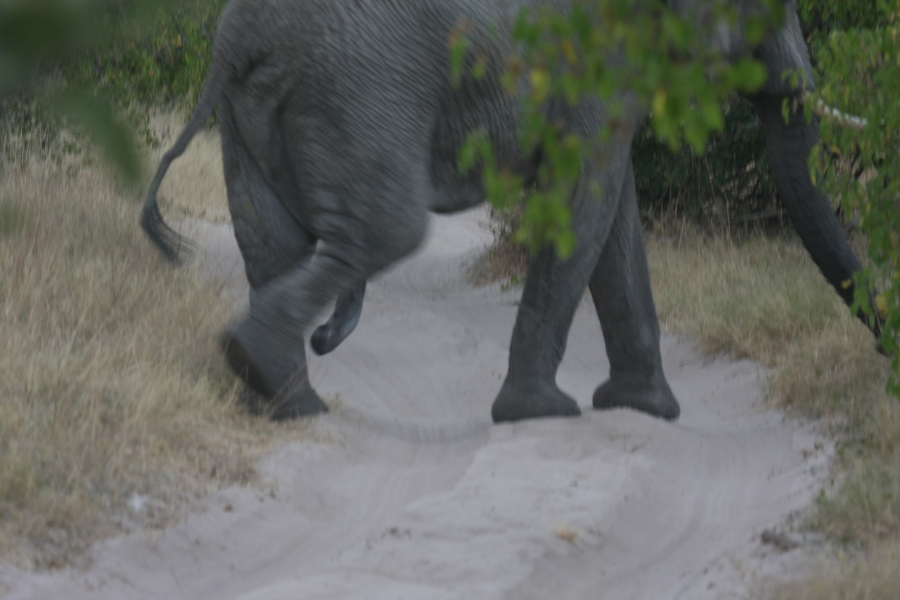 [20330] 2016_06_28_12_00_24_Africa_Canon_EOS_40D_IMG__03213.jpg