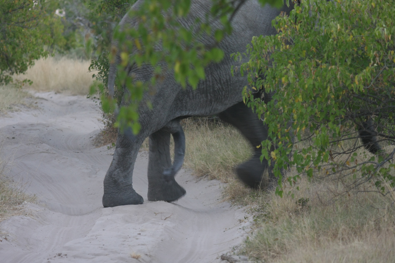 [20340] 2016_06_28_12_00_26_Africa_Canon_EOS_40D_IMG__03216.jpg