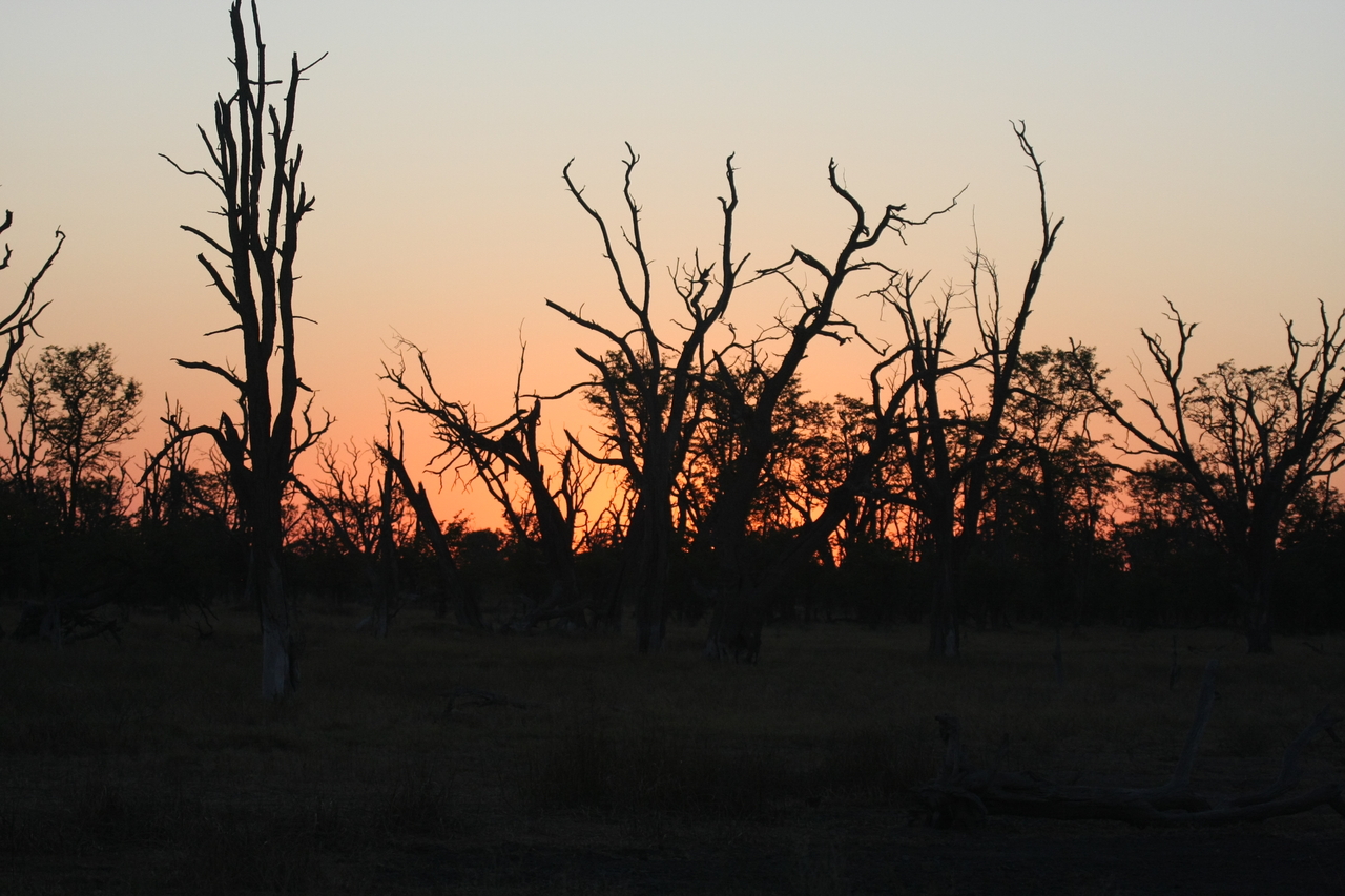 [20571] 2016_06_29_01_00_18_Africa_Canon_EOS_40D_IMG__03411.jpg