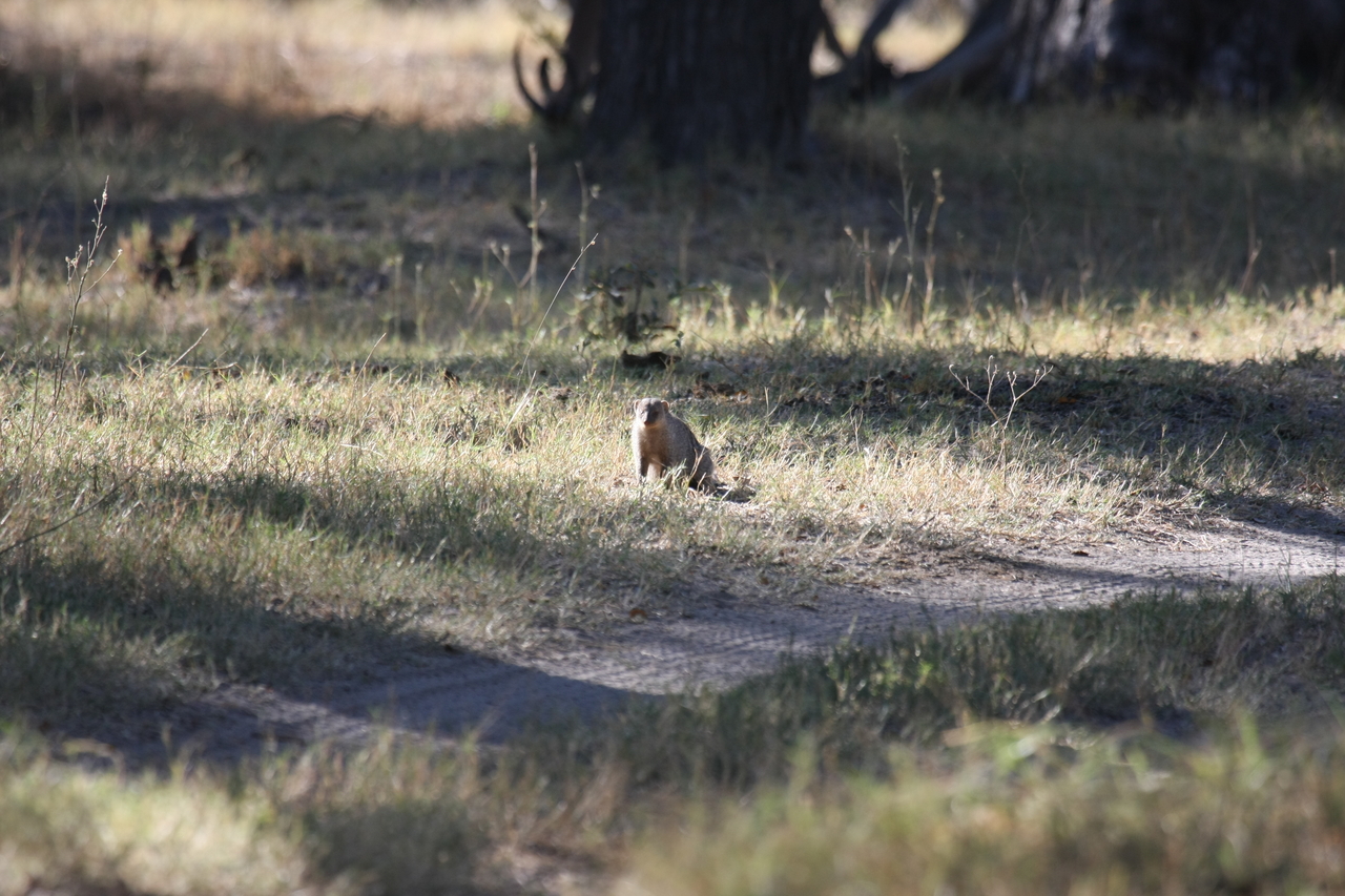 [20888] 2016_06_29_03_08_53_Africa_Canon_EOS_40D_IMG__03279.jpg