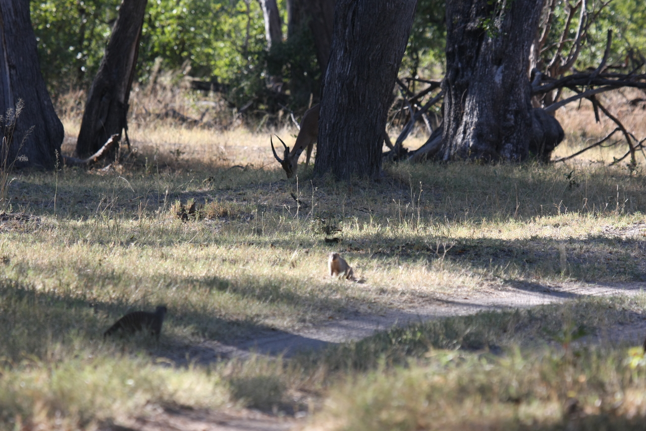[20899] 2016_06_29_03_09_01_Africa_Canon_EOS_40D_IMG__03284.jpg