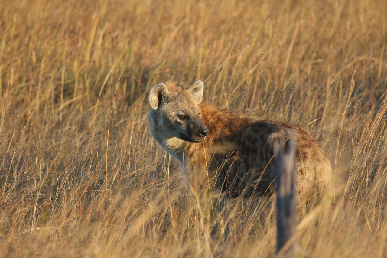 [21553] 2016_06_29_11_34_06_Africa_Canon_EOS_40D_IMG__00209.jpg