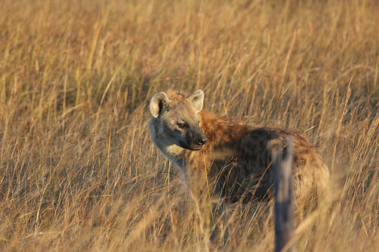 [21561] 2016_06_29_11_34_07_Africa_Canon_EOS_40D_IMG__00211.jpg