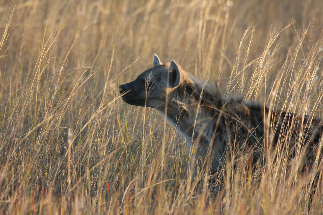 [21593] 2016_06_29_11_34_42_Africa_Canon_EOS_40D_IMG__00226.jpg
