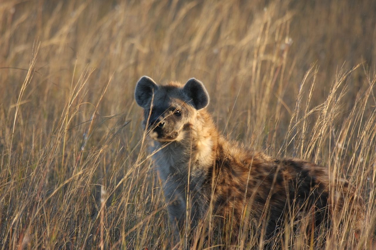 [21618] 2016_06_29_11_34_47_Africa_Canon_EOS_40D_IMG__00233.jpg