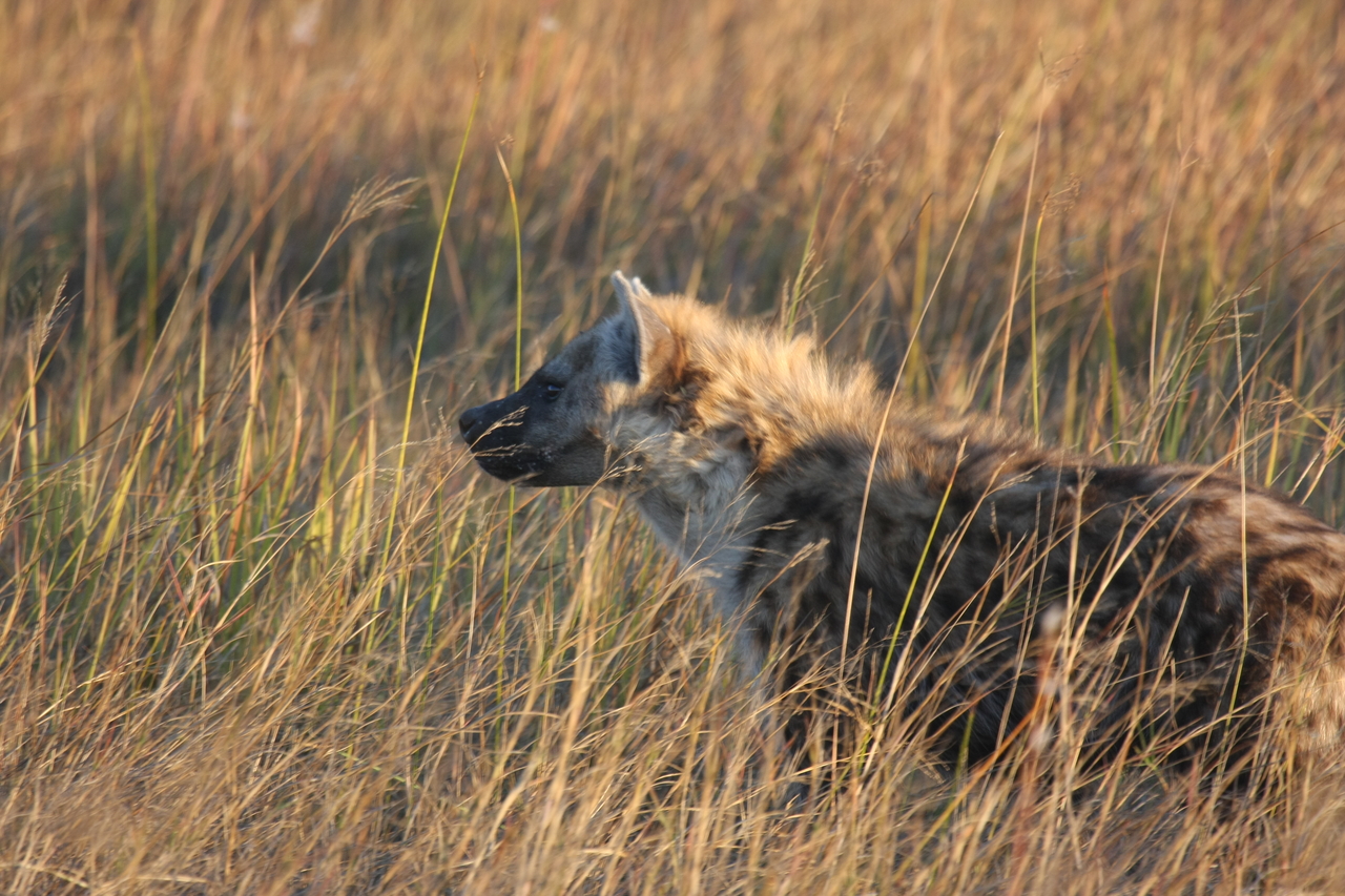 [21669] 2016_06_29_11_35_09_Africa_Canon_EOS_40D_IMG__00252.jpg