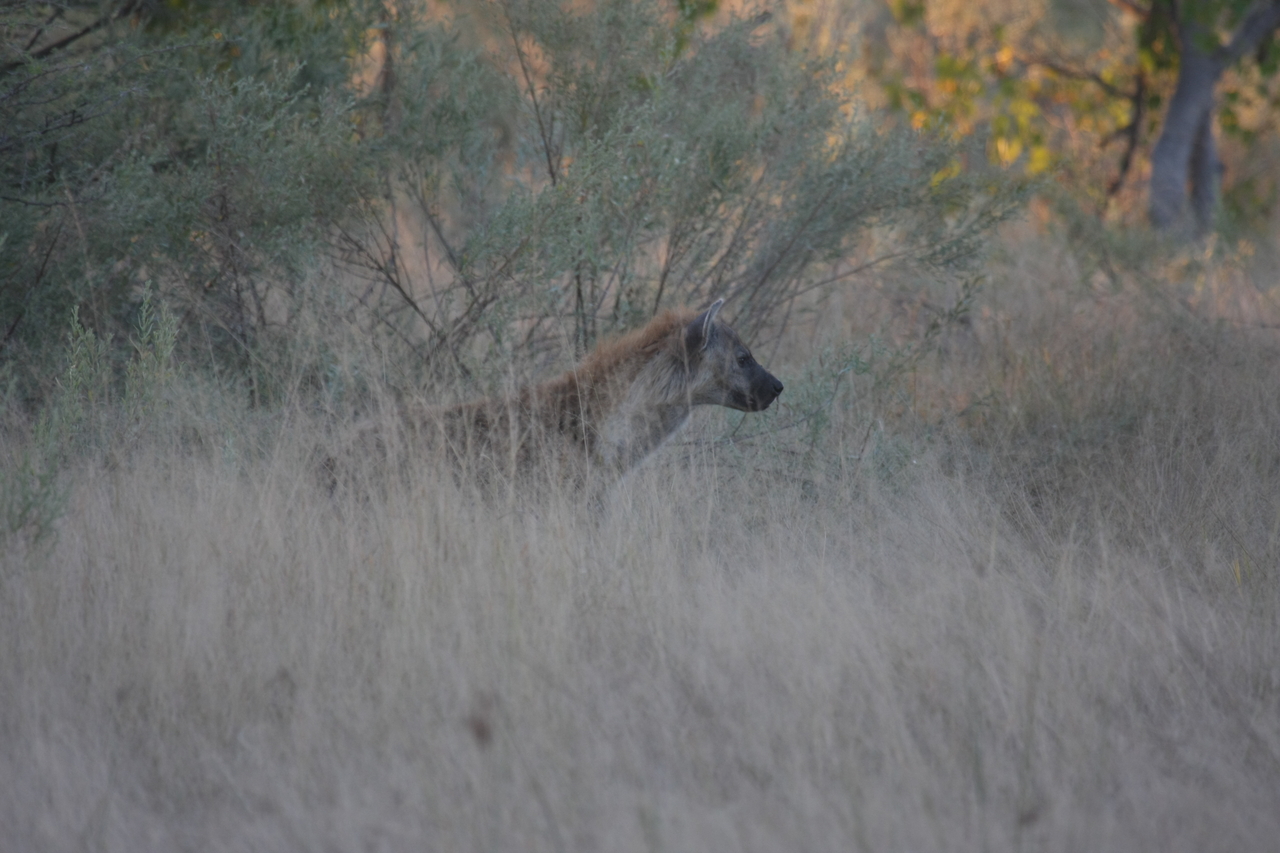 [21708] 2016_06_29_11_42_49_Africa_Canon_EOS_40D_IMG__00266.jpg