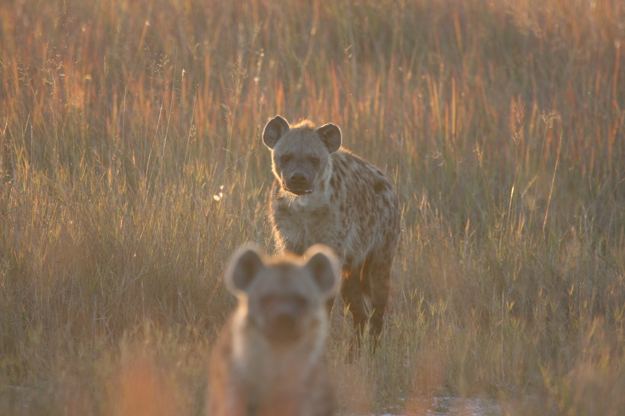 [21760] 2016_06_29_11_45_20_Africa_Canon_EOS_40D_IMG__03527.jpg