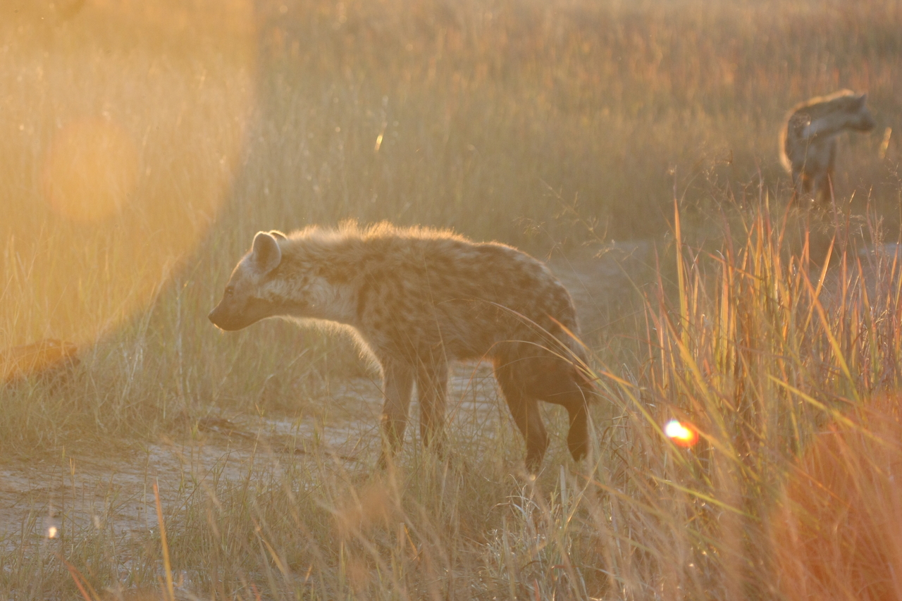 [21772] 2016_06_29_11_45_39_Africa_Canon_EOS_40D_IMG__03531.jpg