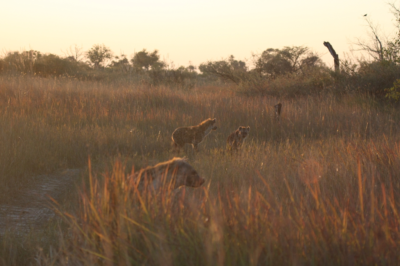 [21800] 2016_06_29_11_46_13_Africa_Canon_EOS_40D_IMG__03541.jpg