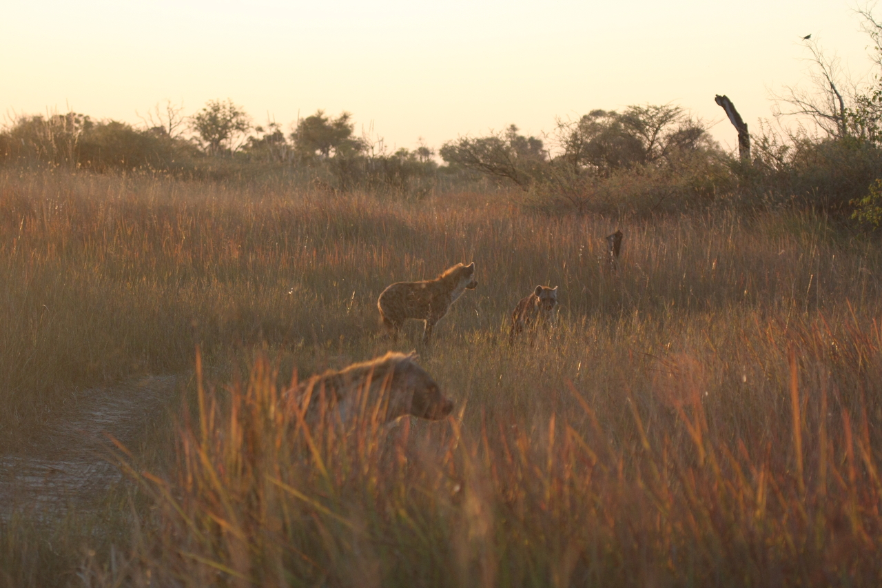 [21801] 2016_06_29_11_46_13_Africa_Canon_EOS_40D_IMG__03542.jpg