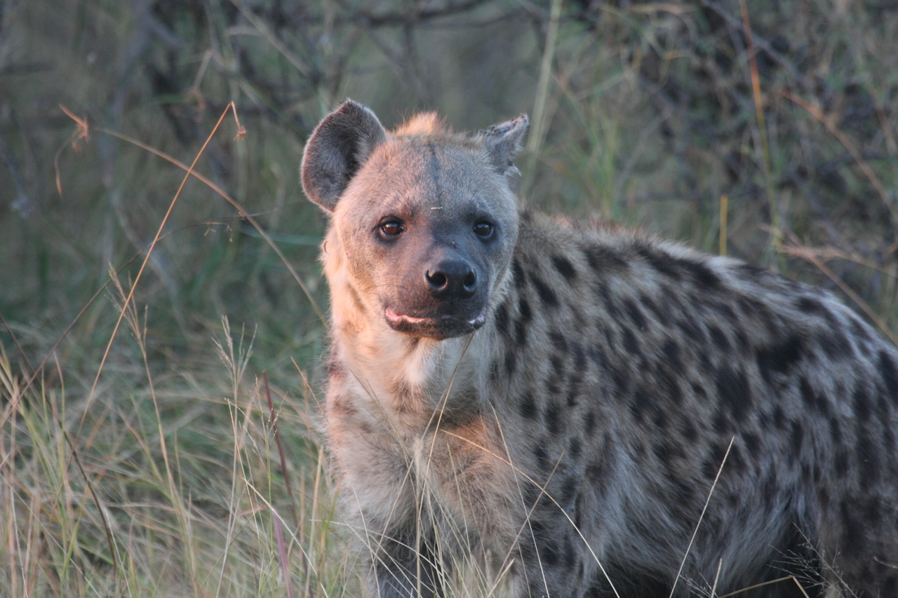 [21889] 2016_06_29_11_51_11_Africa_Canon_EOS_40D_IMG__03574.jpg
