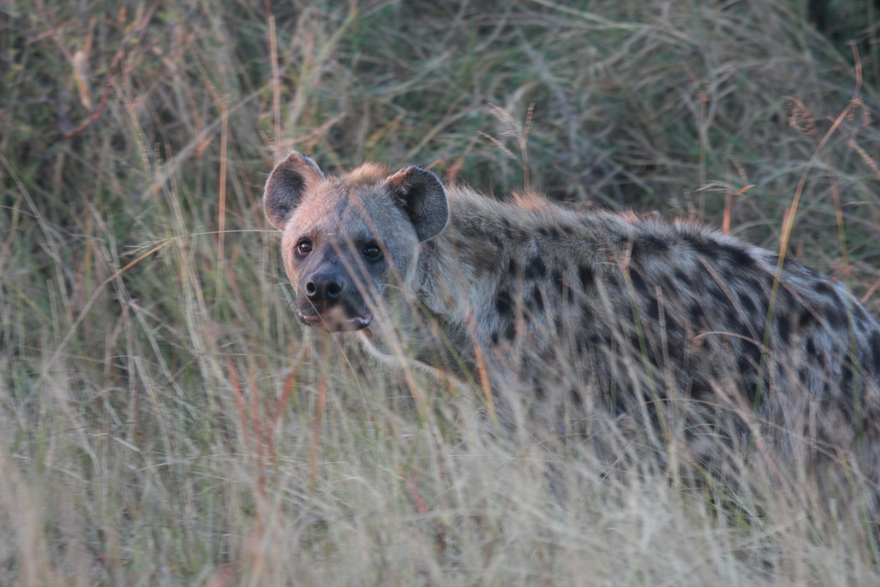 [21904] 2016_06_29_11_51_16_Africa_Canon_EOS_40D_IMG__00340.jpg