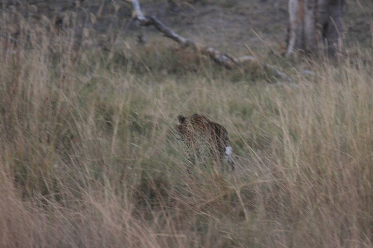 [21962] 2016_06_29_12_08_53_Africa_Canon_EOS_40D_IMG__00360.jpg