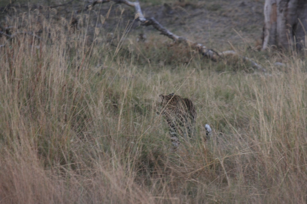 [21970] 2016_06_29_12_08_53_Africa_Canon_EOS_40D_IMG__11051.jpg