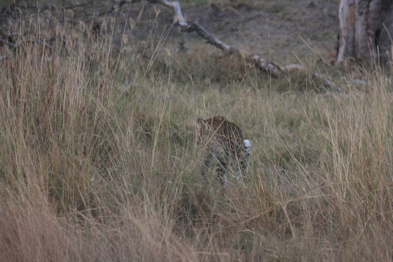 [21971] 2016_06_29_12_08_54_Africa_Canon_EOS_40D_IMG__00363.jpg
