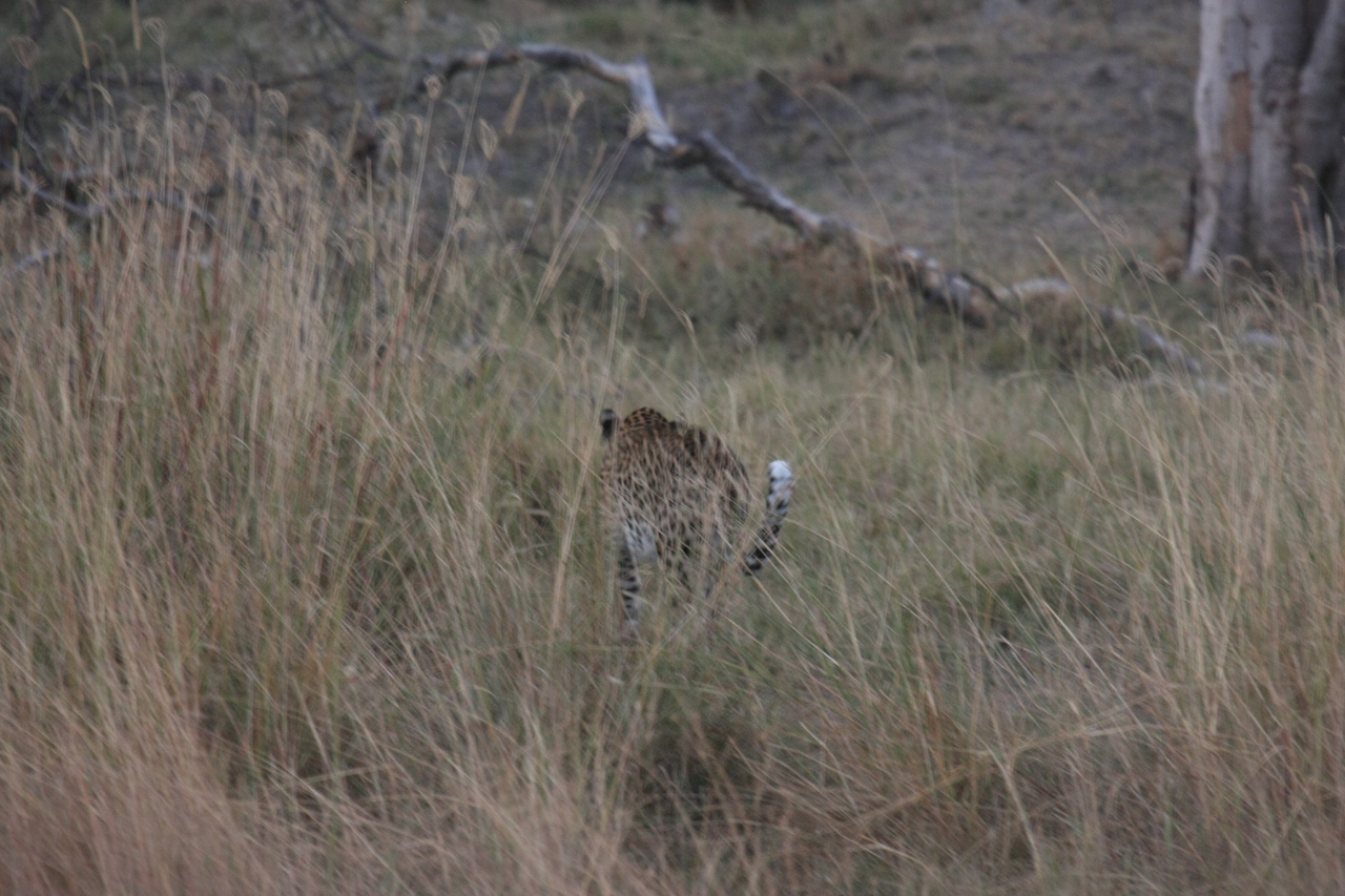 [21978] 2016_06_29_12_08_55_Africa_Canon_EOS_40D_IMG__03607.jpg