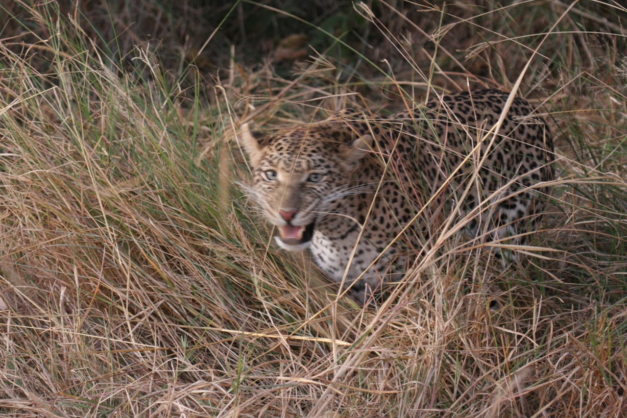 [22045] 2016_06_29_12_12_28_Africa_Canon_EOS_40D_IMG__03632.jpg