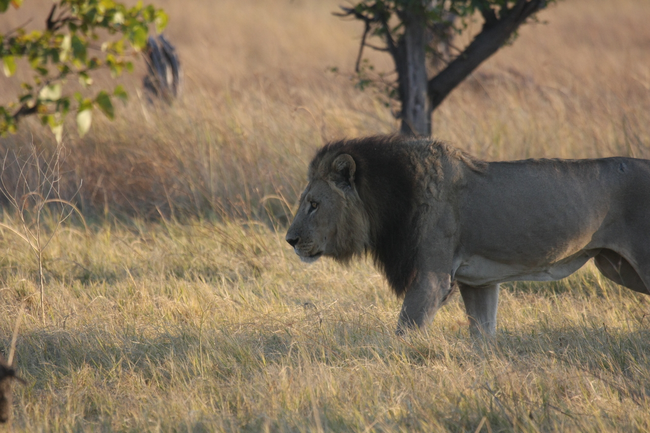 [22602] 2016_06_30_01_36_33_Africa_Canon_EOS_40D_IMG__11620.jpg