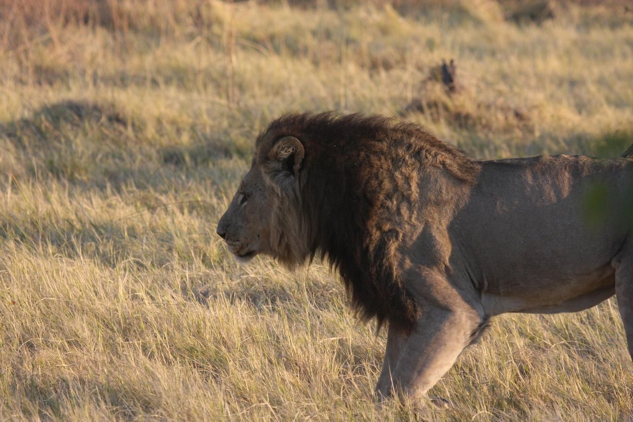 [22616] 2016_06_30_01_37_22_Africa_Canon_EOS_40D_IMG__04228.jpg