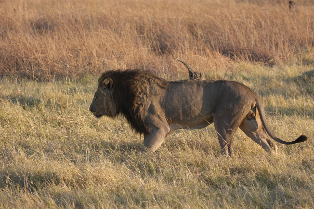 [22618] 2016_06_30_01_37_25_Africa_Canon_EOS_40D_IMG__00513.jpg