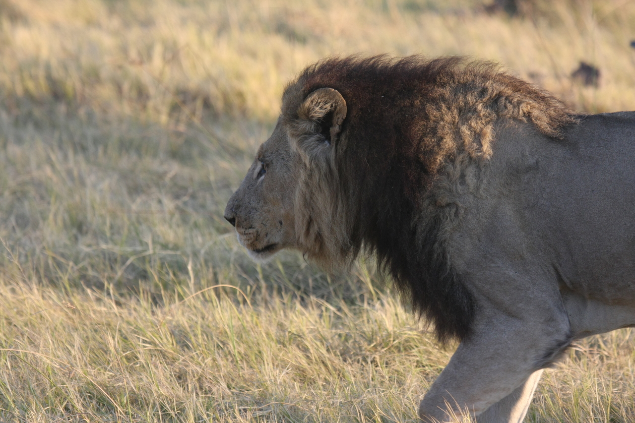 [22621] 2016_06_30_01_38_28_Africa_Canon_EOS_40D_IMG__00524.jpg