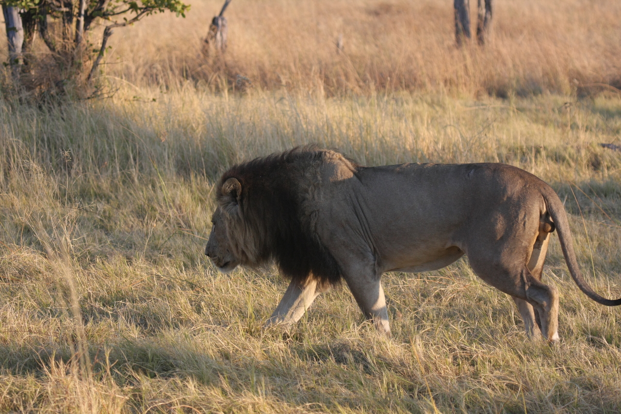 [22624] 2016_06_30_01_38_32_Africa_Canon_EOS_40D_IMG__00535.jpg