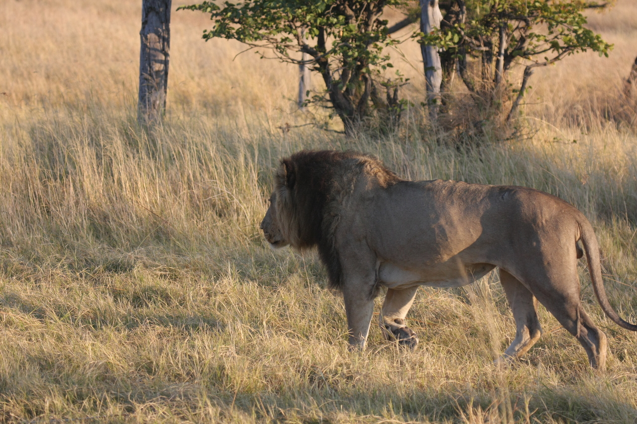 [22627] 2016_06_30_01_38_34_Africa_Canon_EOS_40D_IMG__00546.jpg