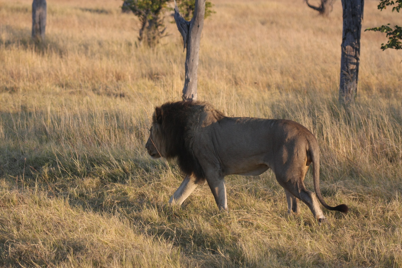 [22631] 2016_06_30_01_38_38_Africa_Canon_EOS_40D_IMG__04284.jpg