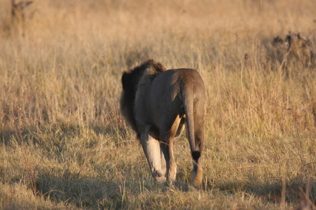 [22637] 2016_06_30_01_39_03_Africa_Canon_EOS_40D_IMG__00569.jpg