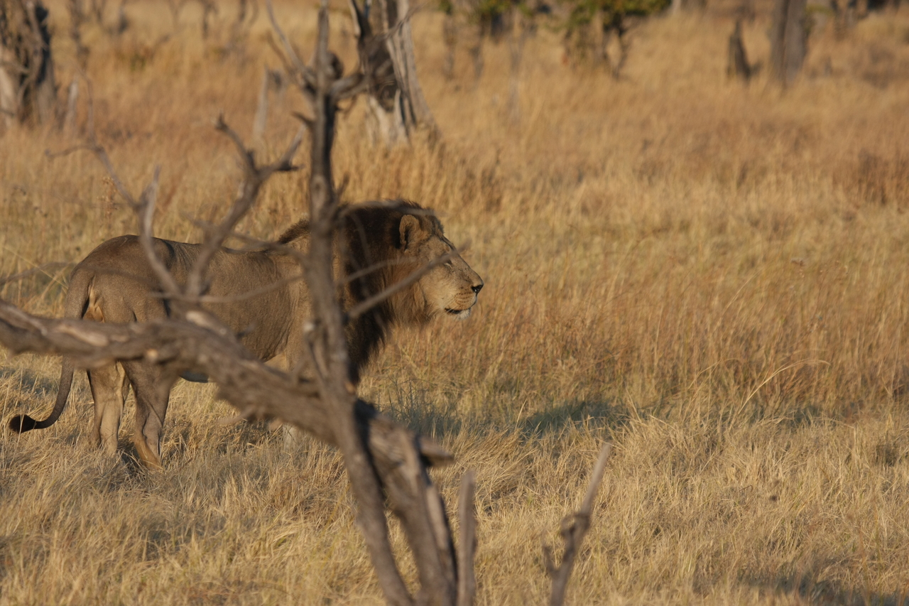 [22653] 2016_06_30_01_41_42_Africa_Canon_EOS_40D_IMG__04350.jpg