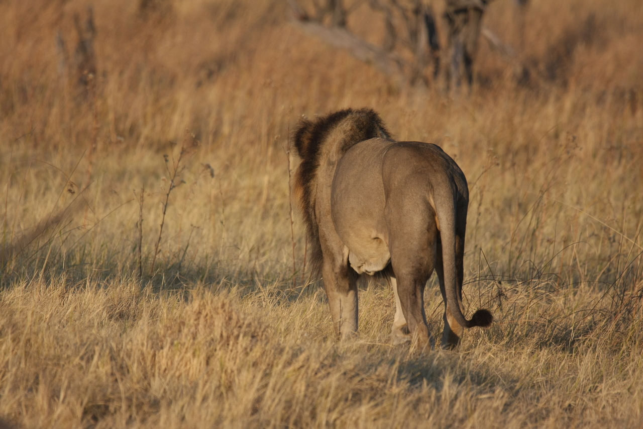 [22664] 2016_06_30_01_42_11_Africa_Canon_EOS_40D_IMG__00669.jpg