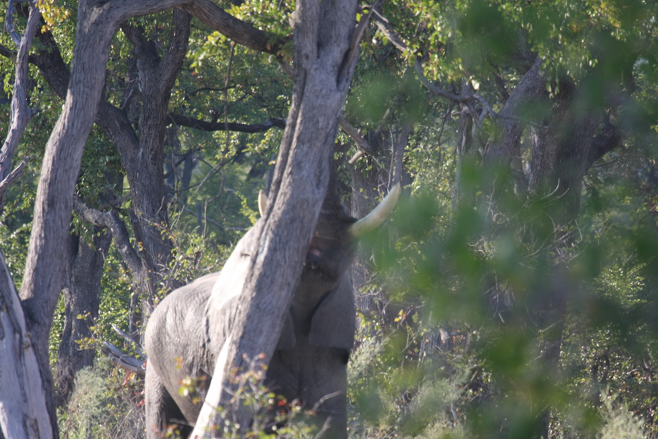 [22861] 2016_06_30_02_08_10_Africa_Canon_EOS_40D_IMG__03749.jpg