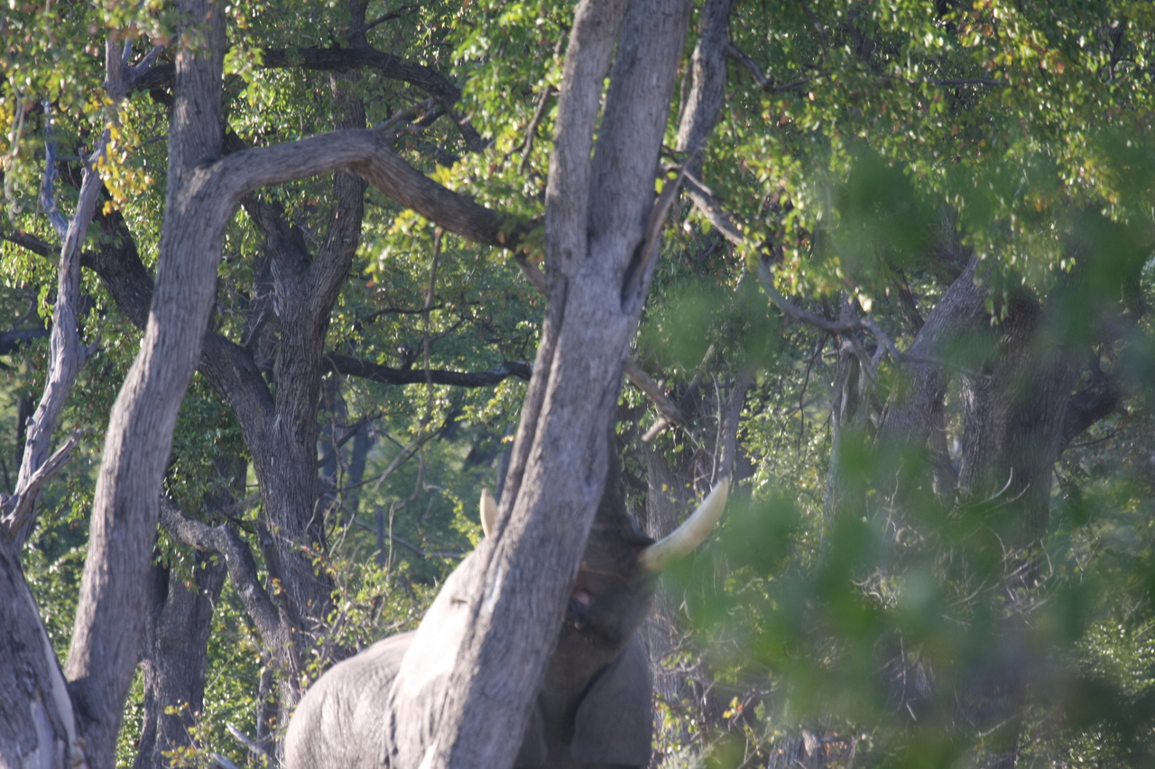[22862] 2016_06_30_02_08_10_Africa_Canon_EOS_40D_IMG__03750.jpg