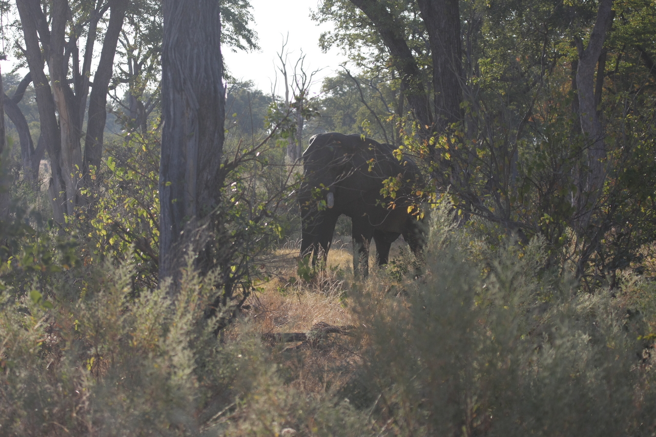 [22951] 2016_06_30_02_13_45_Africa_Canon_EOS_40D_IMG__03782.jpg