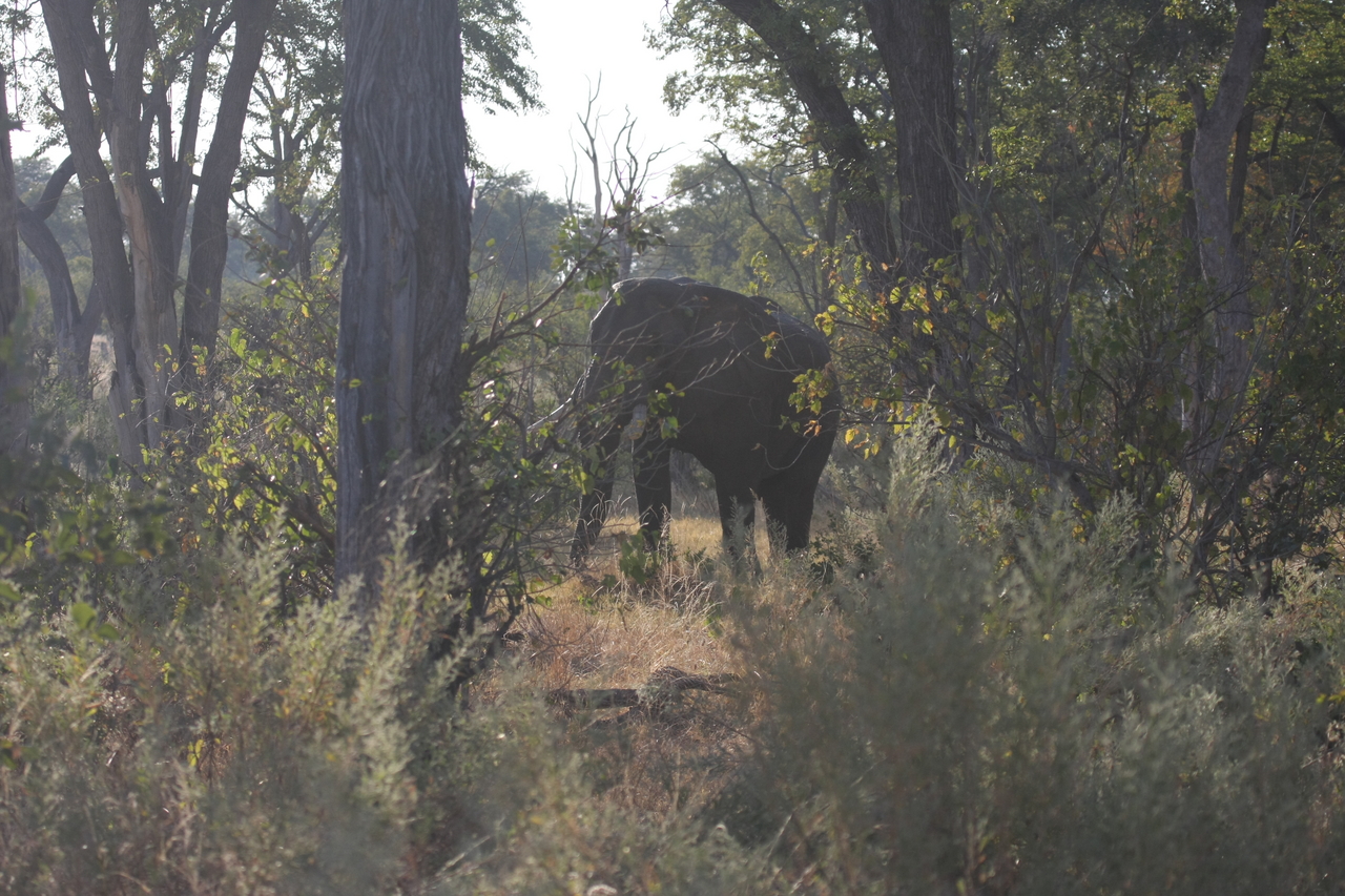 [22953] 2016_06_30_02_13_45_Africa_Canon_EOS_40D_IMG__03785.jpg