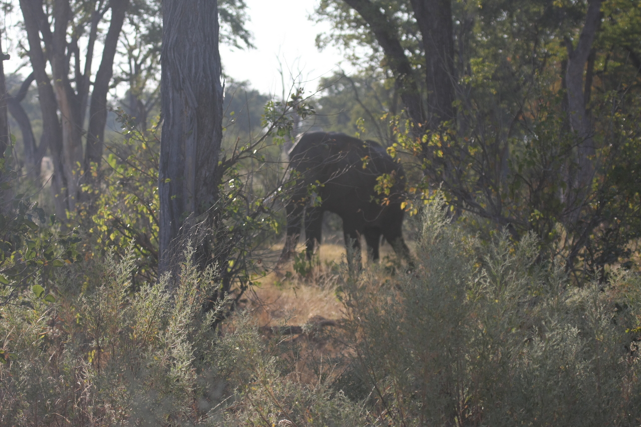 [22955] 2016_06_30_02_13_45_Africa_Canon_EOS_40D_IMG__11230.jpg