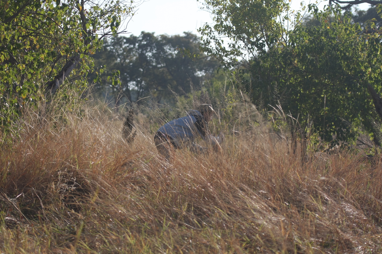 [23075] 2016_06_30_02_27_19_Africa_Canon_EOS_40D_IMG__03814.jpg