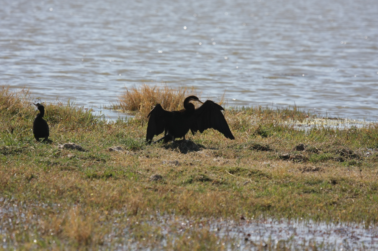 [23896] 2016_06_30_05_25_28_Africa_Canon_EOS_40D_IMG__00337.jpg