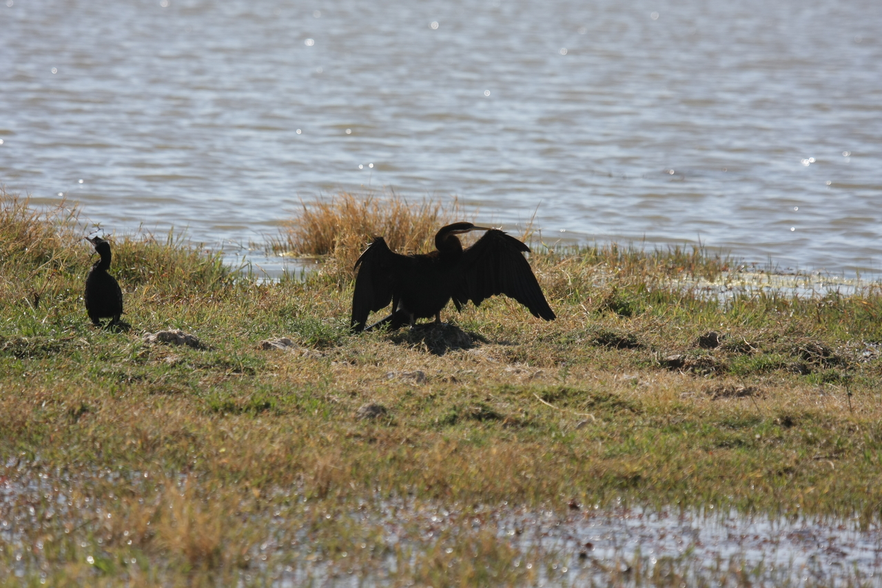 [23900] 2016_06_30_05_25_28_Africa_Canon_EOS_40D_IMG__04064.jpg