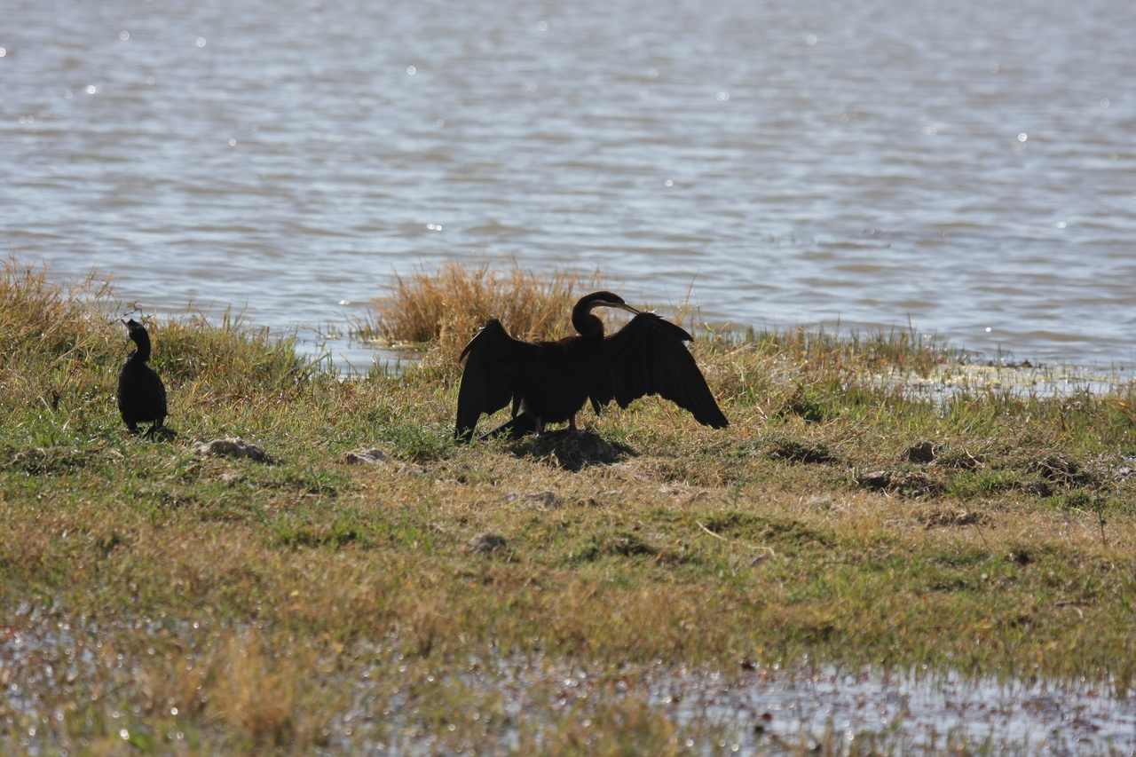 [23904] 2016_06_30_05_25_28_Africa_Canon_EOS_40D_IMG__11512.jpg