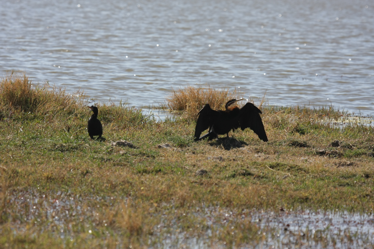 [23905] 2016_06_30_05_25_32_Africa_Canon_EOS_40D_IMG__00340.jpg