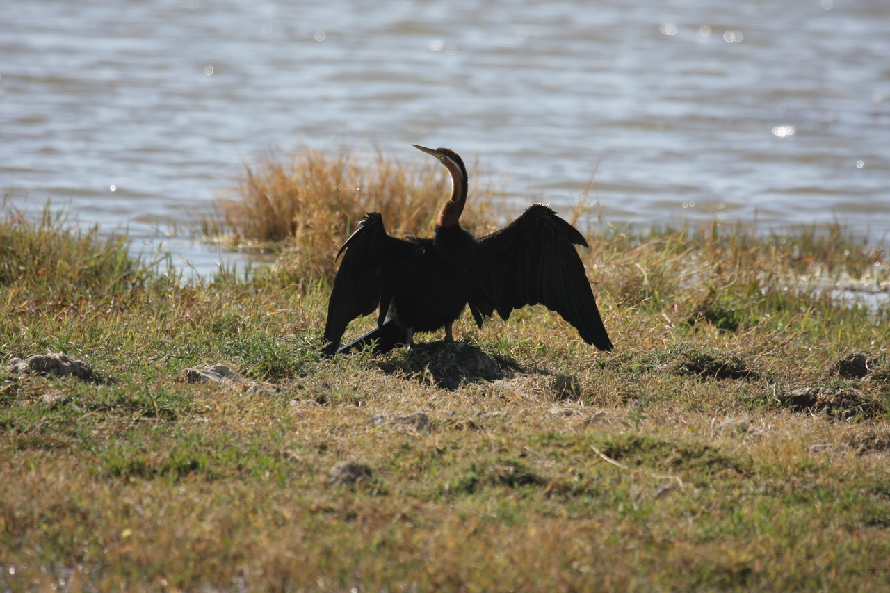 [23911] 2016_06_30_05_25_38_Africa_Canon_EOS_40D_IMG__00342.jpg