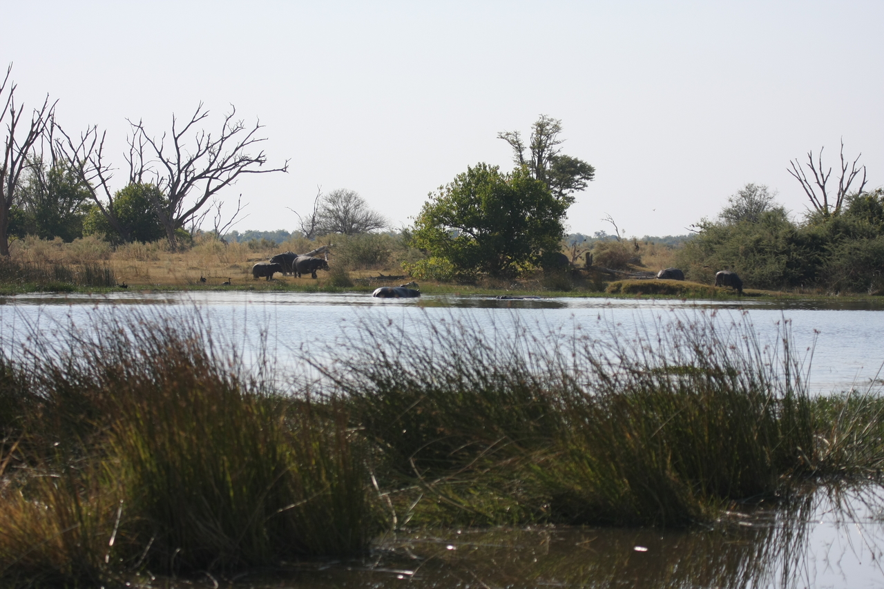 [24725] 2016_06_30_09_05_57_Africa_Canon_EOS_40D_IMG__04334.jpg