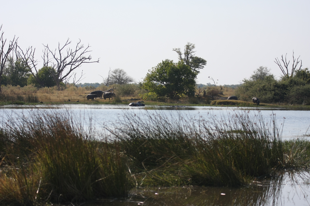 [24730] 2016_06_30_09_05_57_Africa_Canon_EOS_40D_IMG__11783.jpg