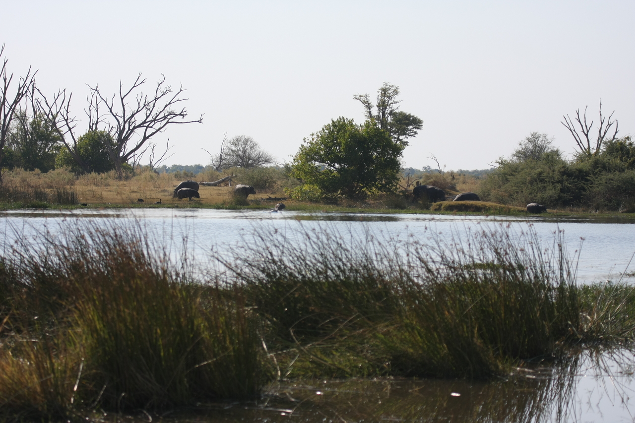 [24734] 2016_06_30_09_06_03_Africa_Canon_EOS_40D_IMG__04337.jpg