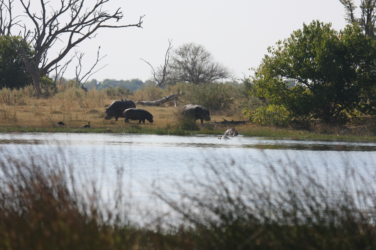 [24740] 2016_06_30_09_06_12_Africa_Canon_EOS_40D_IMG__00615.jpg